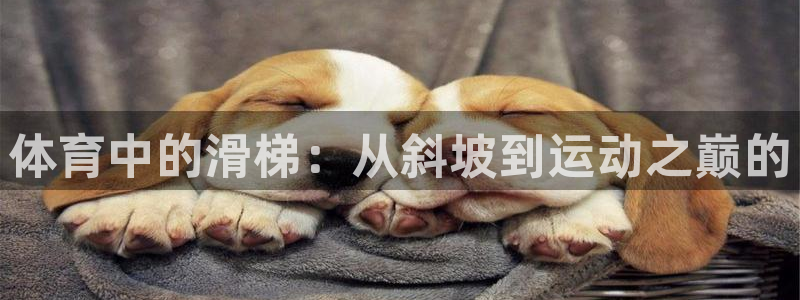 K球体育直播在线：体育中的滑梯：从斜坡到运动之巅的