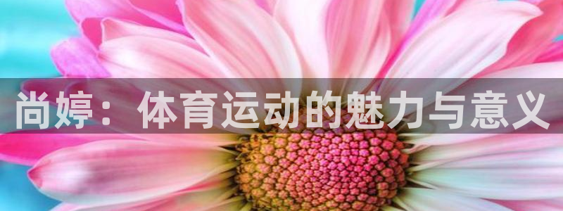 k球体育直播app下载安装：尚婷：体育运动的魅力与意义